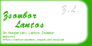 zsombor lantos business card